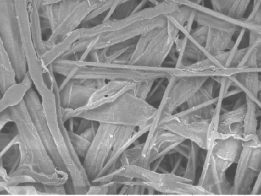 Fiber distribution diagram of Arrow fiber-added filter paper under a 300x microscope